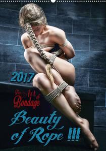 Fine Art of Bondage - Beauty of Rope III 2017 - Download