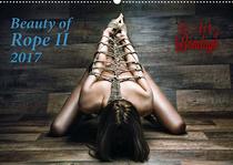 Fine Art of Bondage - Beauty of Rope II 2017 - Download