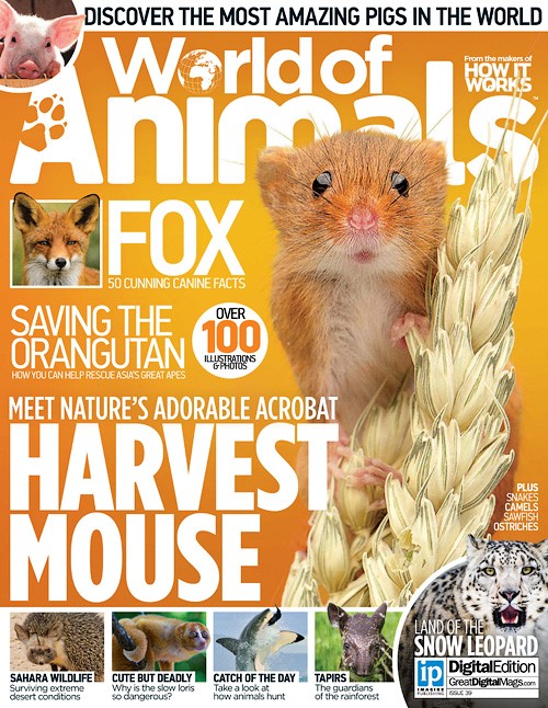 World of Animals - Issue 39, 2016