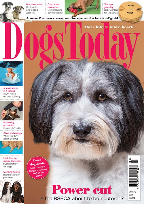 Dogs Today UK - January 2017