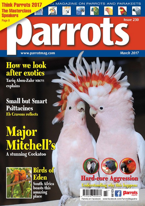 Parrots - March 2017