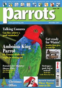 Parrots - November 2017 - Download