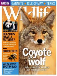 BBC Wildlife - June 2013 - Download