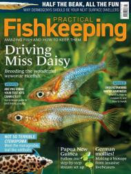 Practical Fishkeeping - February 2024 - Download