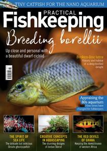Practical Fishkeeping - November 2021 - Download