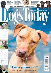 Dogs Today UK - July 2022 - Download