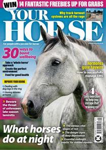 Your Horse - September 2022 - Download