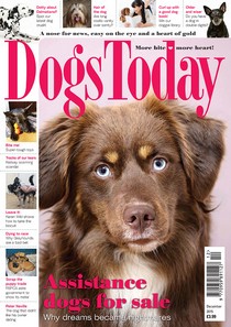 Dogs Today – December 2015 - Download