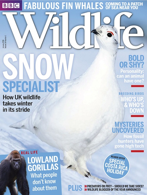 BBC Wildlife - January 2016