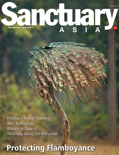 Sanctuary Asia - April 2016