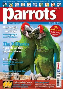 Parrots - September 2016 - Download