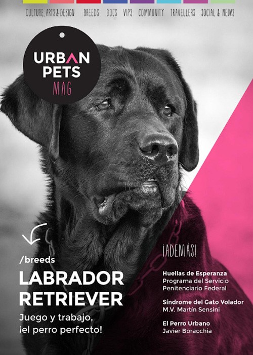 Urban Pets - Issue 10, 2016