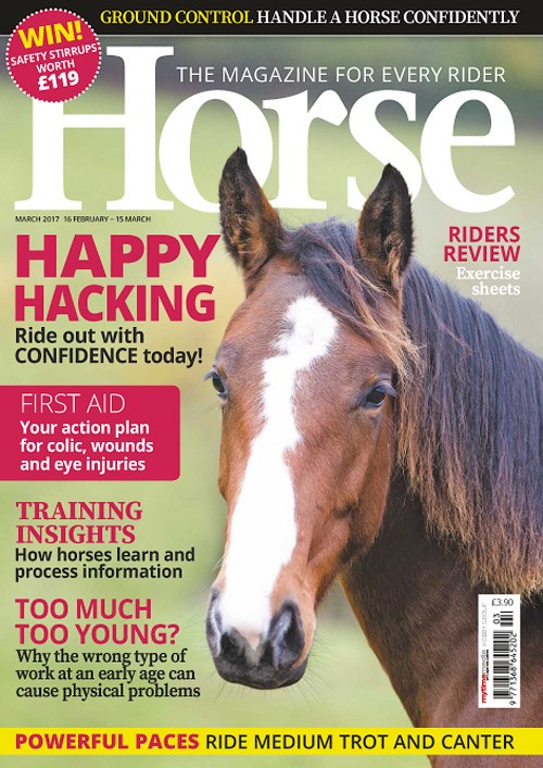 Horse - March 2017