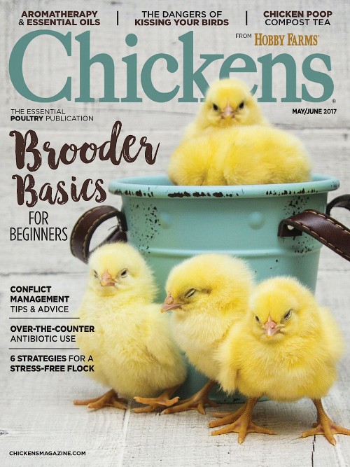 Chickens - May/June 2017