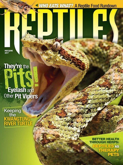 Reptiles - May/June 2017