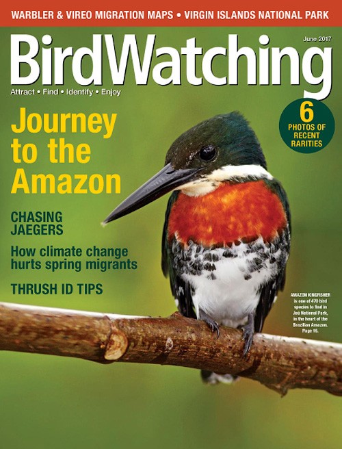 BirdWatching - May/June 2017