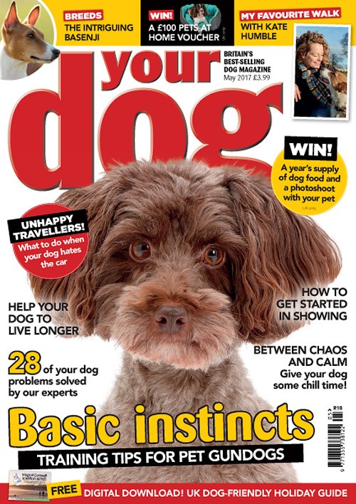 Your Dog - May 2017