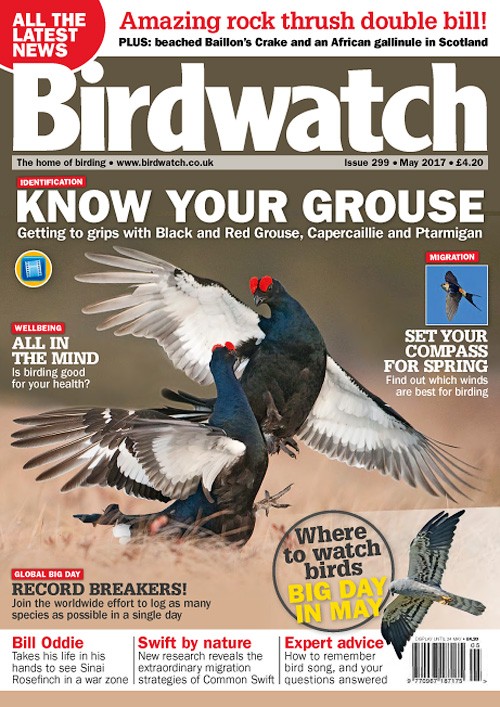 Birdwatch UK - May 2017