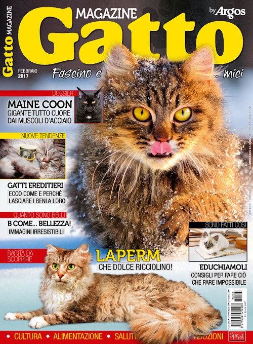Gatto Magazine - Febbraio 2017