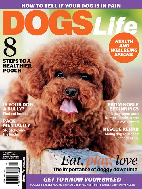 Dogs Life - May/June 2017