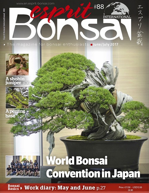 Bonsai Books Pdf Free Download