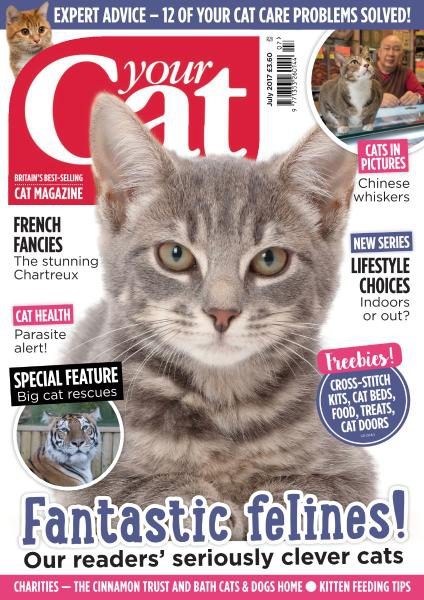 Your Cat - July 2017