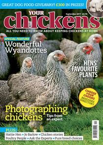 Your Chickens - September 2017 - Download