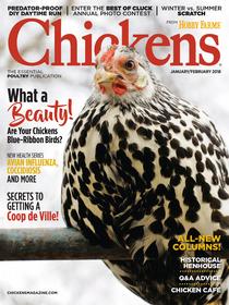 Chickens - January 2018 - Download