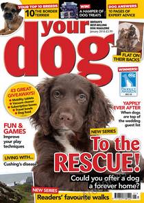 Your Dog - January 2018 - Download