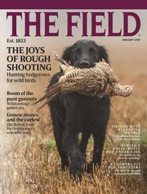 The Field - January 2018 - Download