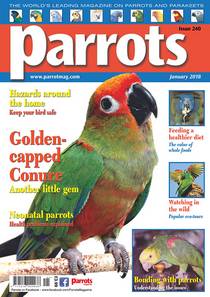 Parrots - January 2018 - Download