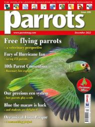 Parrots - December 2022 - Download