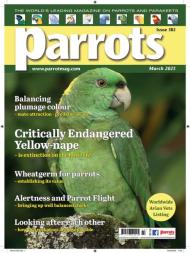 Parrots - March 2023 - Download