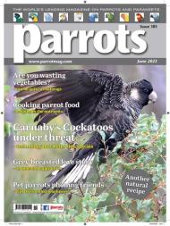Parrots - June 2023 - Download