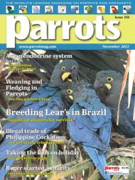 Parrots - November 2023 - Download