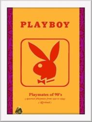 Playboy Playmates of 90's Deck Of Cards - Download