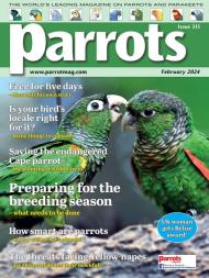 Parrots - February 2024 - Download