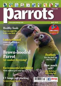 Parrots - April 2018 - Download