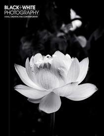 Black + White Photography – July 2018 - Download