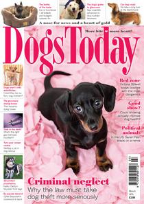 Dogs Today - March 2015 - Download