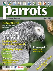 Parrots - March 2019 - Download
