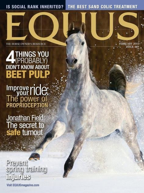 Equus - February 2015