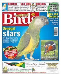 Cage & Aviary Birds - 28 January 2015 - Download