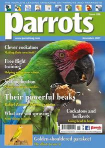 Parrots – November 2021 - Download