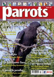 Parrots – April 2022 - Download