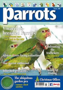 Parrots – November 2022 - Download
