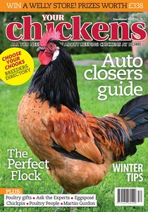 Your Chickens - December 2015 - Download
