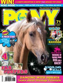 HQ Pony - November 2015 - Download