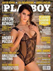 Playboy Slovenia - December 2014 - Download