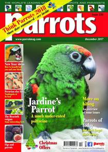 Parrots — December 2017 - Download